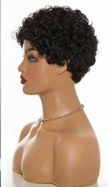 Fashion Trend Short Curly Hair African Small Curly Ladies Wig