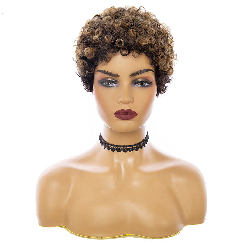 Fashion Trend Short Curly Hair African Small Curly Ladies Wig