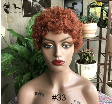 Fashion Trend Short Curly Hair African Small Curly Ladies Wig