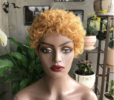 Fashion Trend Short Curly Hair African Small Curly Ladies Wig